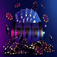 223 bet app