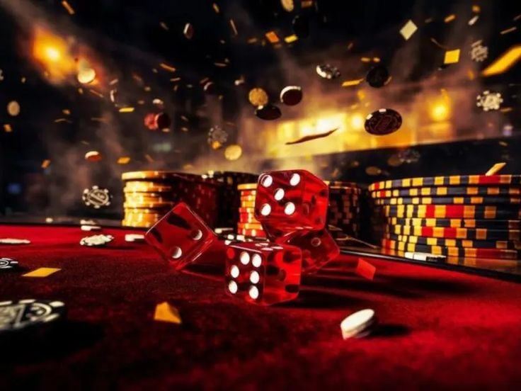 223 bet app