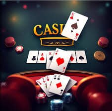 223 bet app